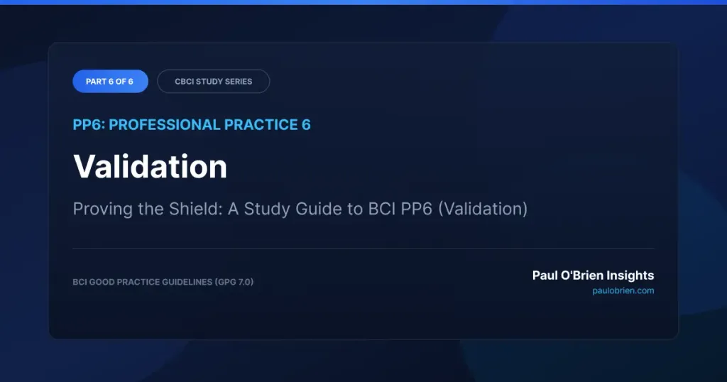 Dark blue banner titled "PP6: Professional Practice 6 - Validation" by Paul O'Brien Insights.